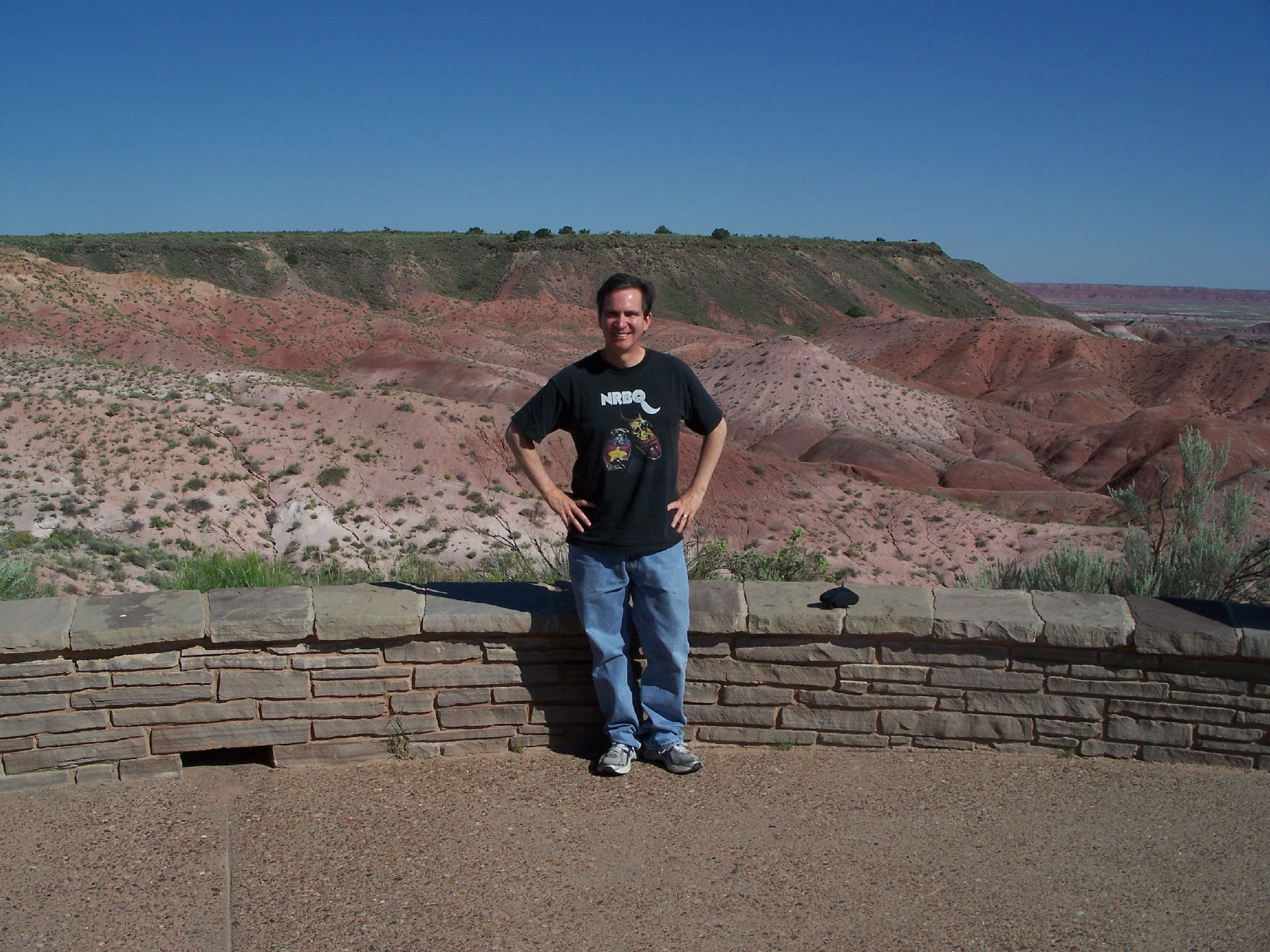 Petrified Forest