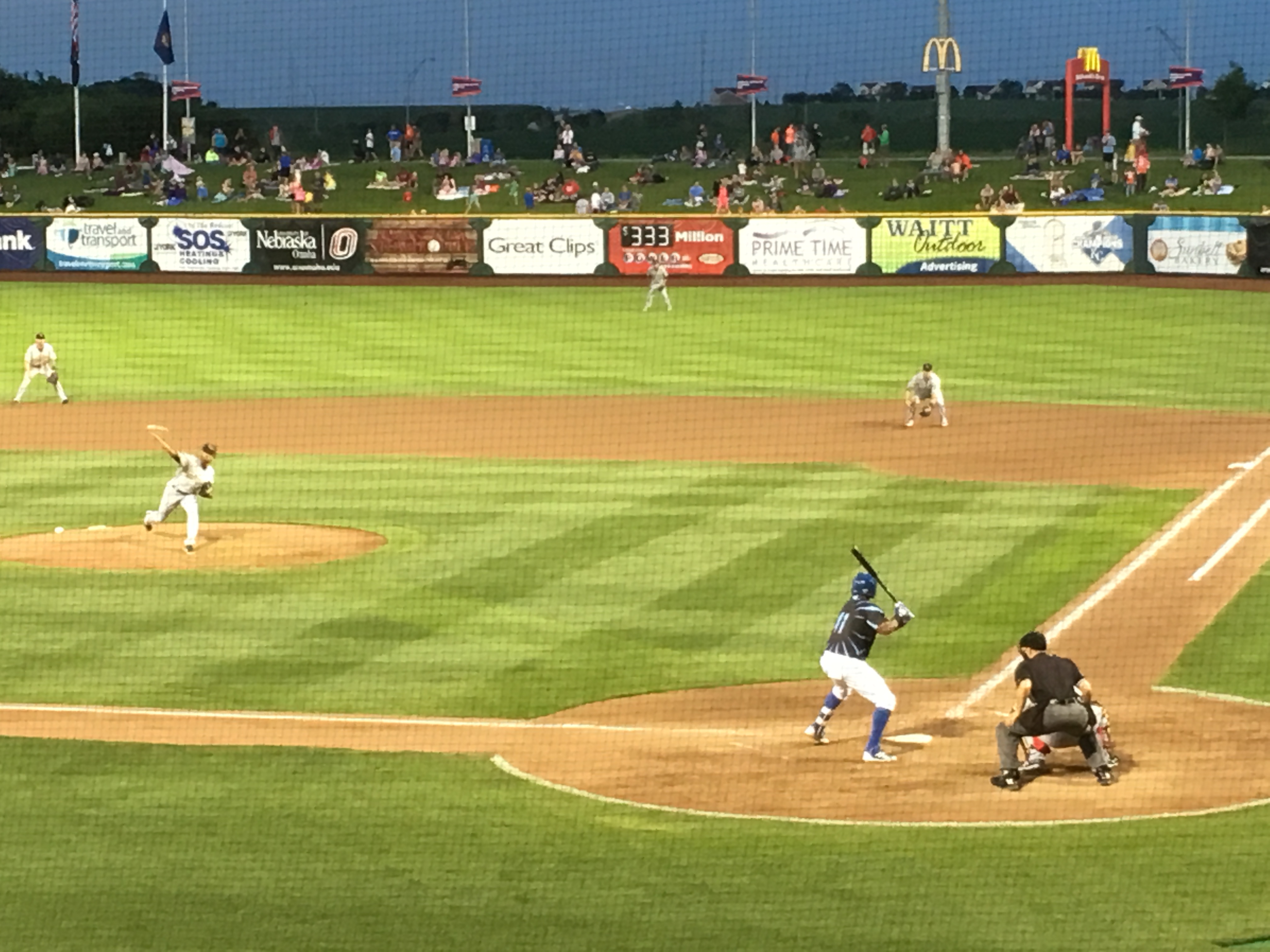 Storm Chasers vs. Bees