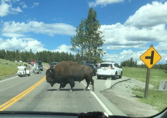 Yellowstone