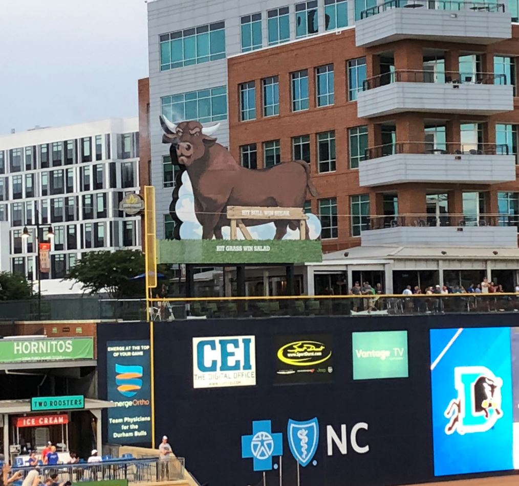The bull