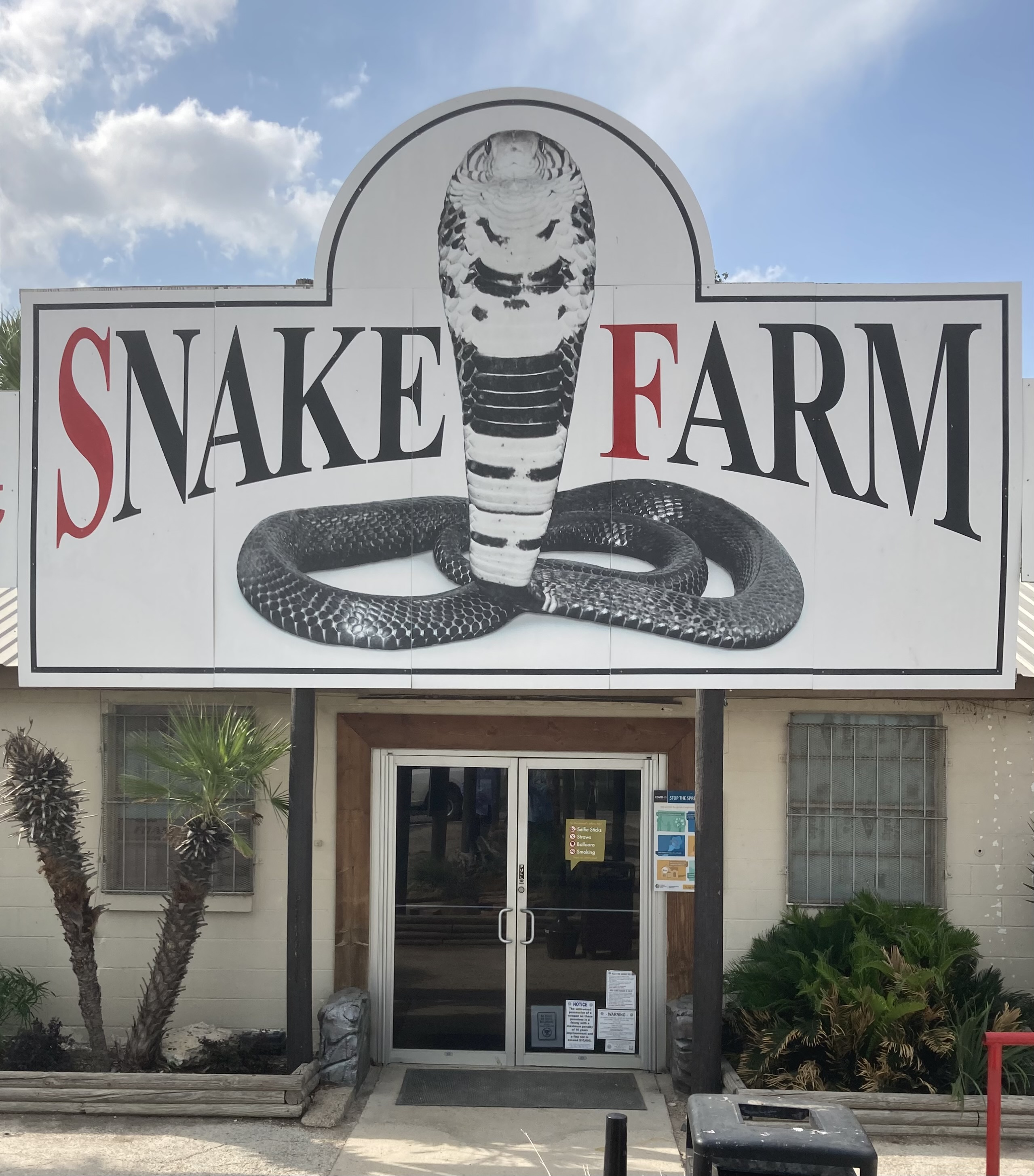 Snake Farm