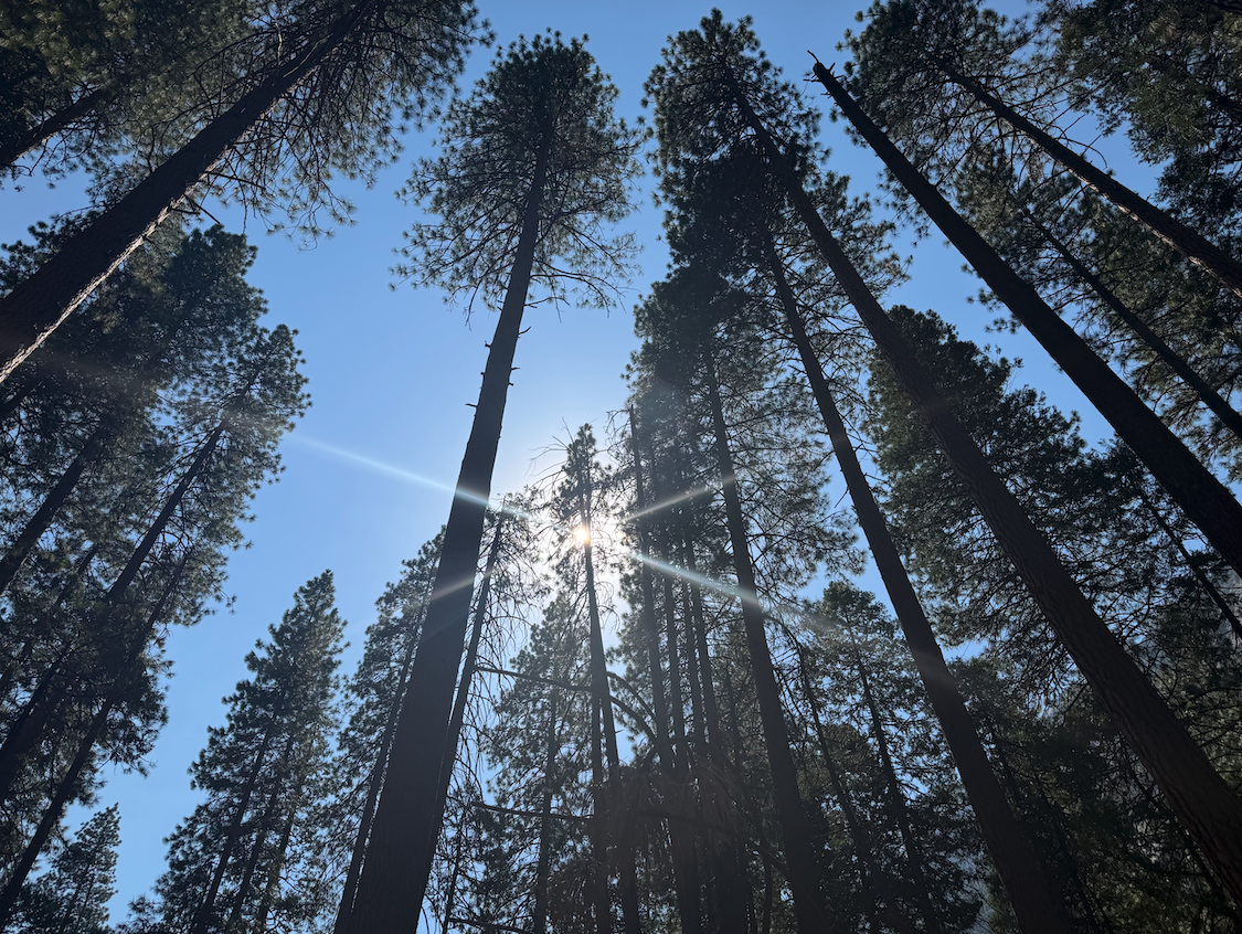 Yosemite